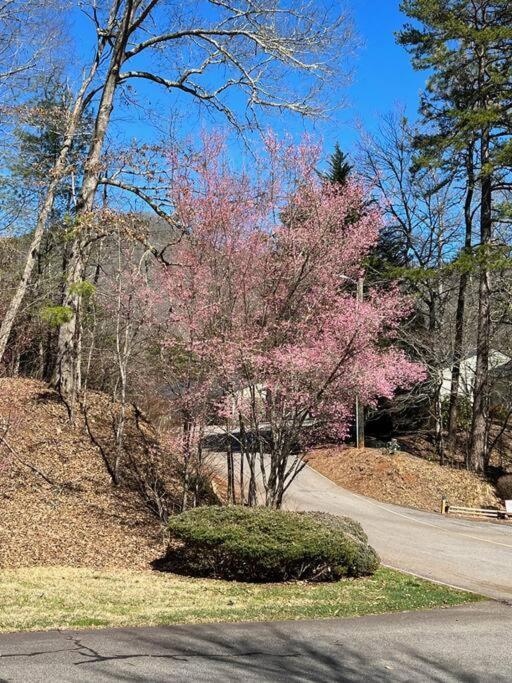 Creekside Gated Golf Mtn Villa W/Fast Wifi & Paved Франклин Экстерьер фото