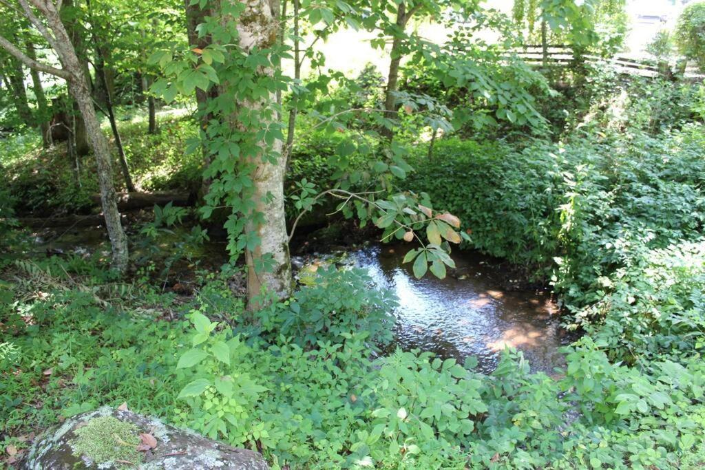 Creekside Gated Golf Mtn Villa W/Fast Wifi & Paved Франклин Экстерьер фото