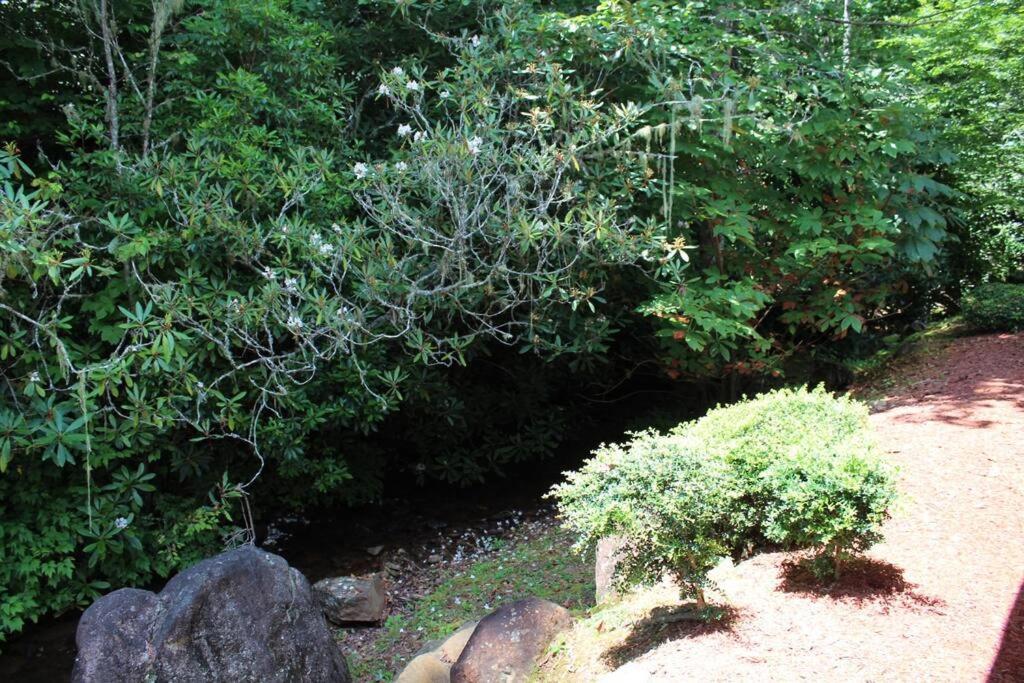Creekside Gated Golf Mtn Villa W/Fast Wifi & Paved Франклин Экстерьер фото